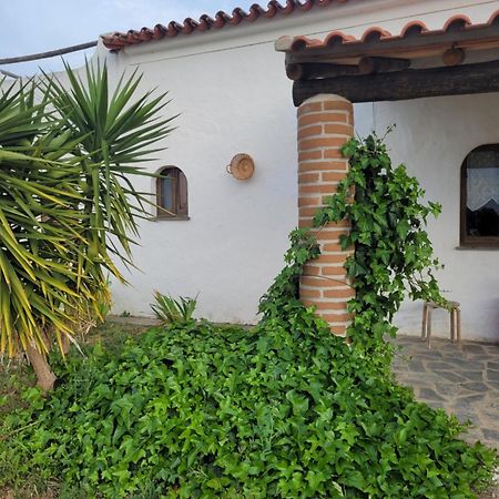 Willa Quinta Da Belavista Reguengos de Monsaraz Zewnętrze zdjęcie